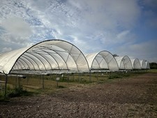 Spanish Polytunnels Galvanised Steel Strawberries Gutters 18 X 50m X 8.5m