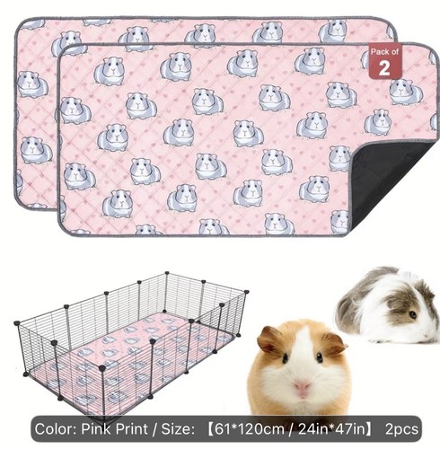 Guinea pig small animal rabbit - guinea,