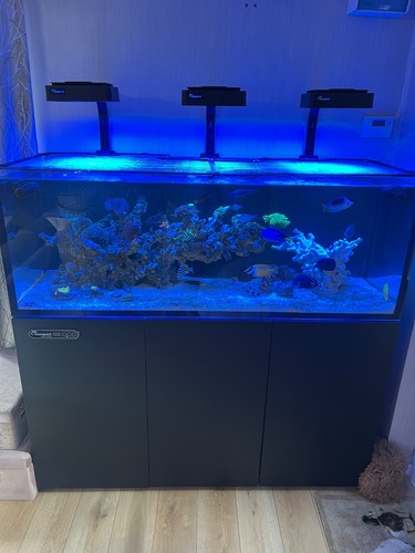Maxspect ls150 marine - ls150, reef