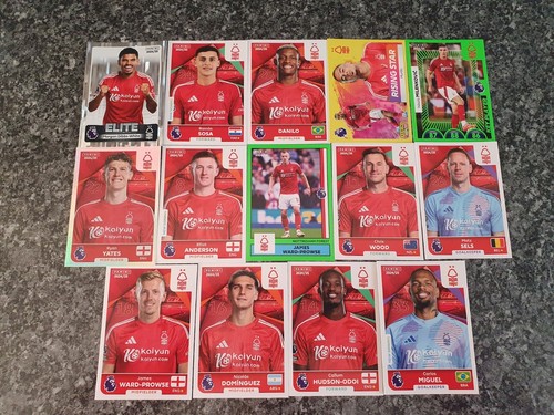 Panini premier league stickers - premier,