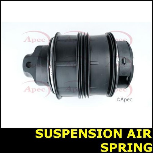 Suspension air spring - spring, rear