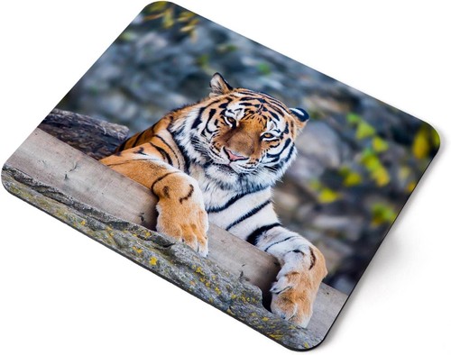 Computer mouse mat pad wild - mouse,