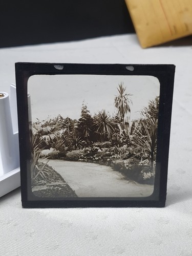 Glass negative magic lantern - negative,,