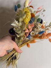 Dried Flower Wildflower