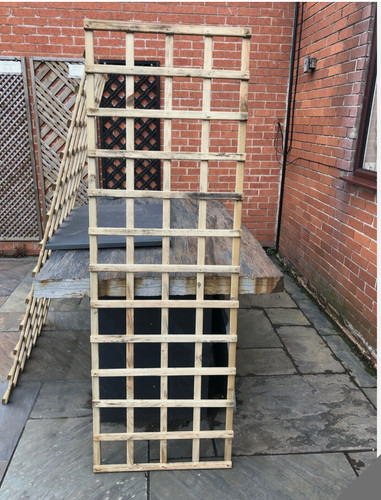 Basic square trellis - , /