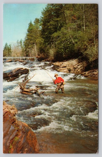 Vintage fly fisherman - fisherman, postcard