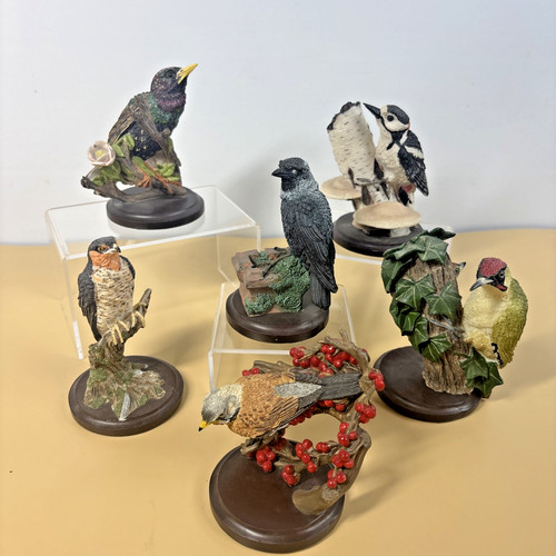 Country bird collection - x, 6