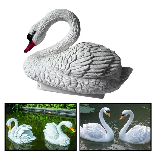 Garden pond floating - floating, swan