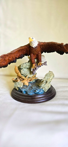 Country artists bald eagle - country,