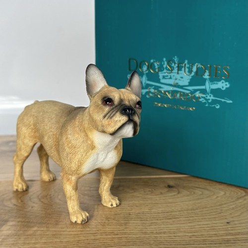French bulldog leonardo - french,