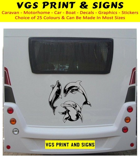 Dolphin campervan motorhome - campervan,