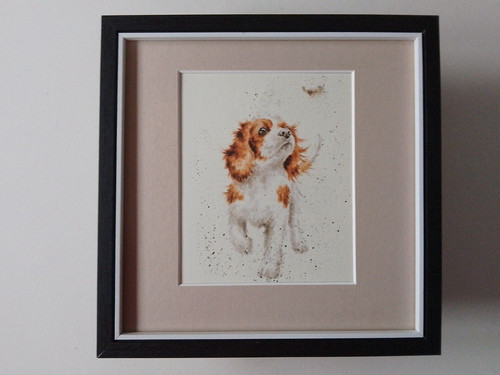 Hannah dale dog - dale, print