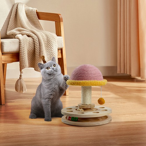 Cat scratch scratching - scratching, post