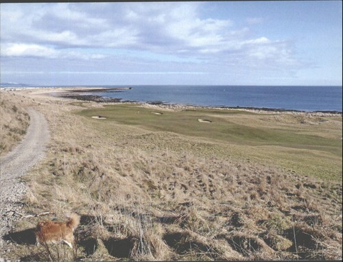 Royal dornoch golf - golf, course