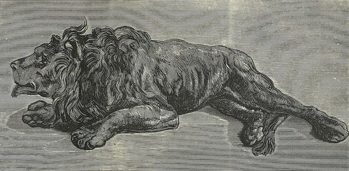 Waking lion edwin landseer - up,