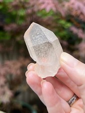 Pink Lemurian Seed Quartz