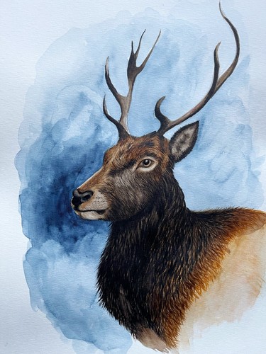 Imperial animals stag - imperial,