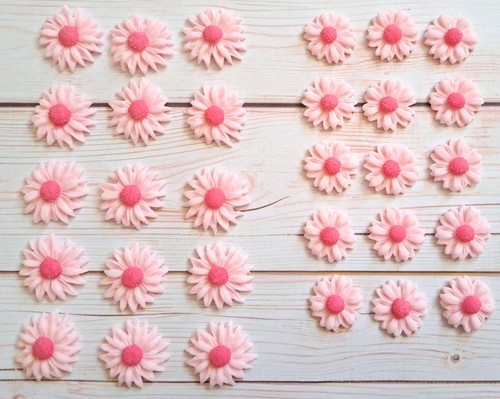 Pink edible daisies - (02), 30