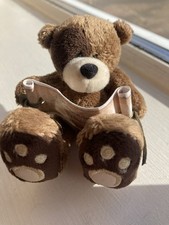 Teddy Bigfoot Mini Sentiment