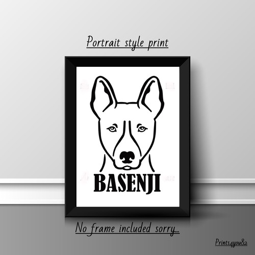 Basenji dog pet picture - basenji,