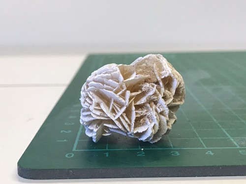 Desert rose crystal mineral - rose,