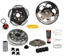 Malossi Clutch And Variator