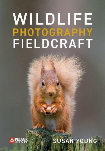 Wildlife photography - wildlife,