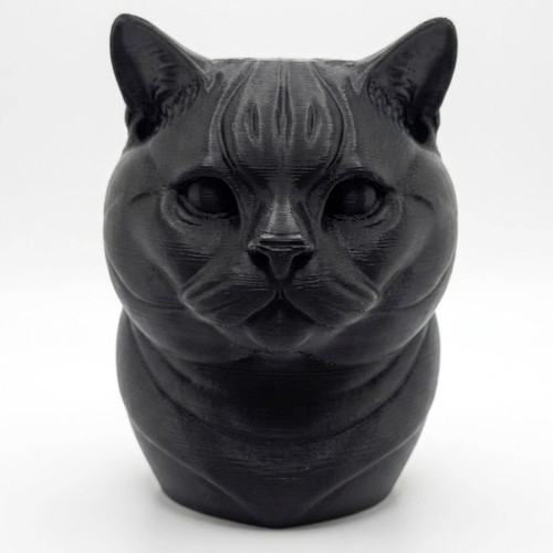British shorthair cat bust - shorthair,