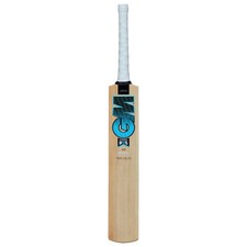 Ben stokes junior cricket - junior,