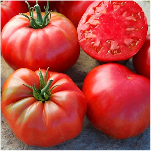 Tomato malinowy - 4,