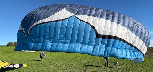Used ozone alpina in - 2,