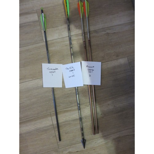 Mixed archery arrow lot - archery,