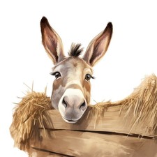 8x Sticker Donkey Car Sticker