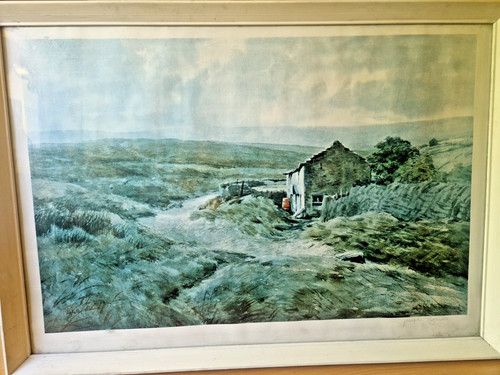 Shelter bay signed framed - shelter,
