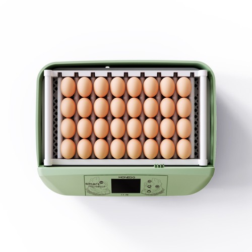 Eggs mini incubator - eggs,