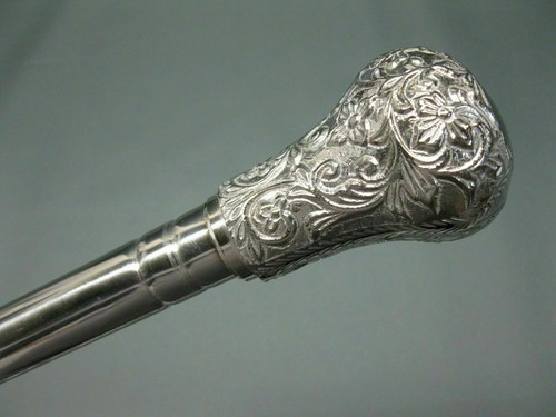 Stainless steel walking hiking