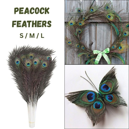 100x natural peacock - 10-100x,