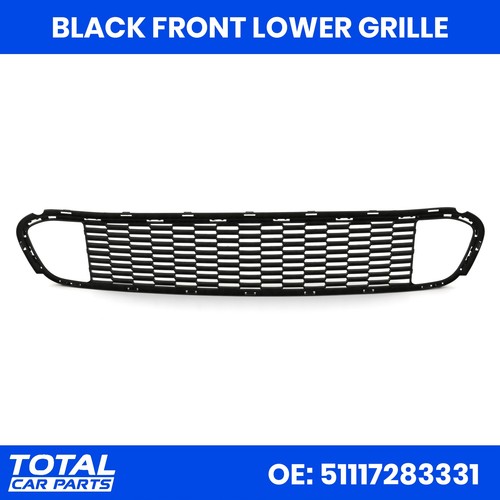 Black lower radiator - black, oe