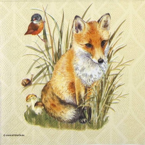 Single paper napkins for - 4x,