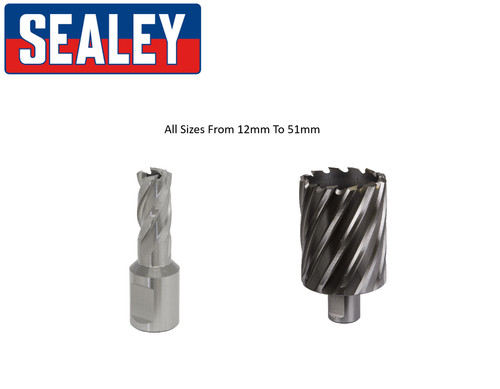 Sealey worksafe hss - worksafe, metal