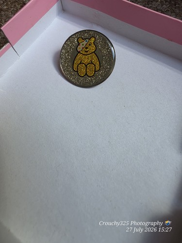 Pudsey pin badge - pin,