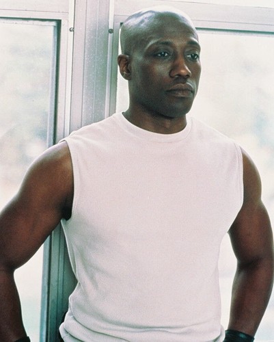76642 wesley snipes hunky - 76642,