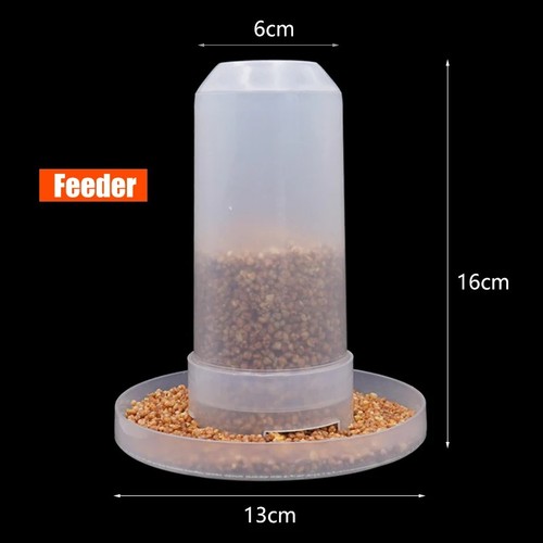 Automatic bird quail drinking - automatic,