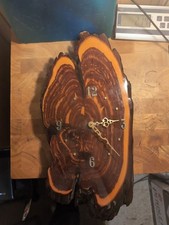 Cedar or Cypress Wood Log