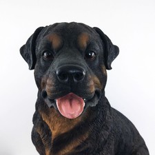 Large 52cm Sitting Rottweiler