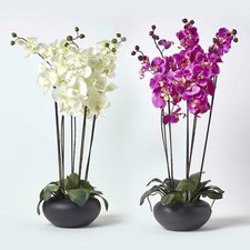 Large Oriental Style Cream and