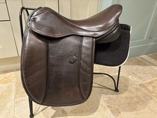 Pony cob horse - horse, katie