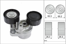 INA Tensioner Lever - V-Ribbed