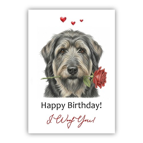 Briard dog birthday - briard, from