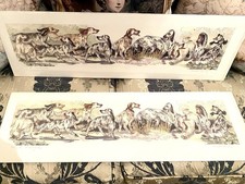 English setter pointer - english,